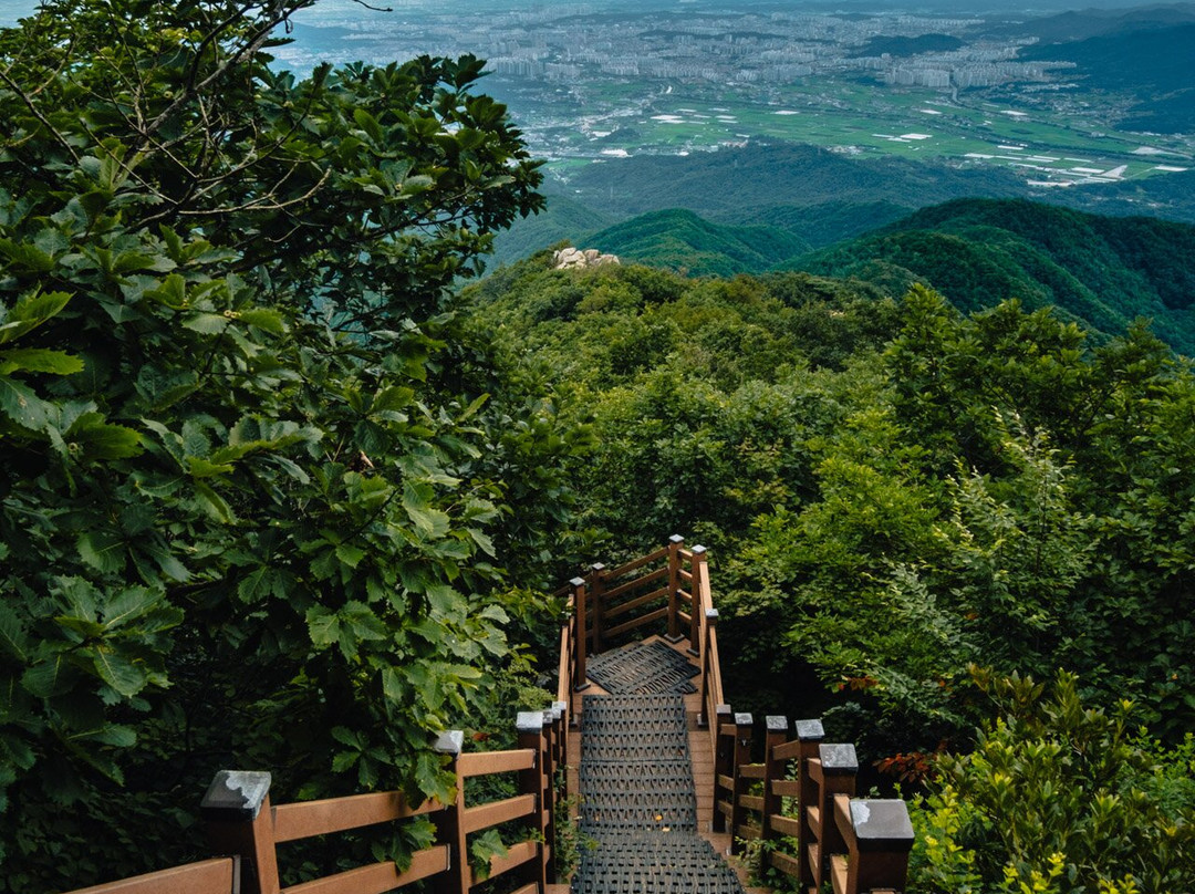 Moak Mountain-全州市必去景点