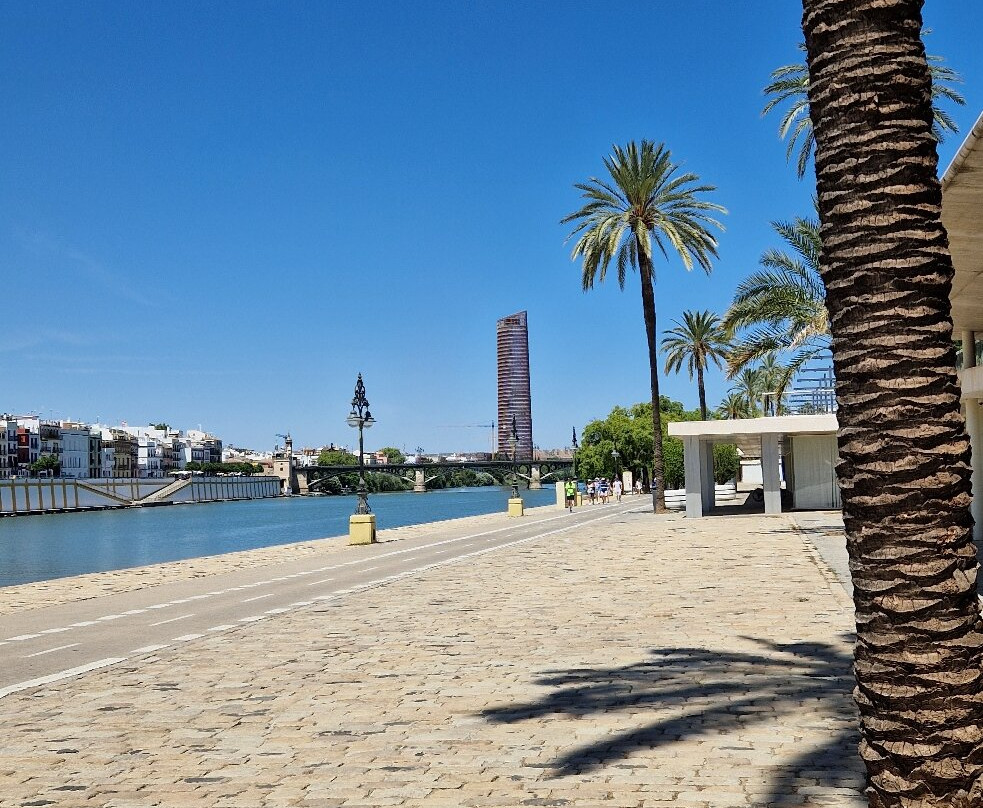 Centro Comercial Torre Sevilla景点图片
