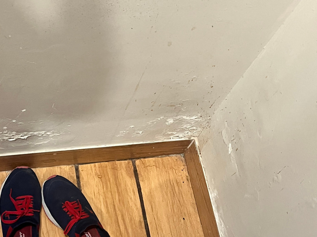 Hotel Imperial主图