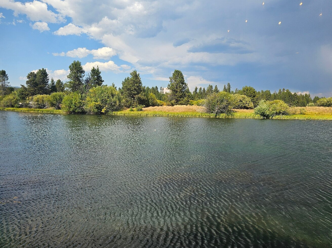 Rio Sol Latin Kitchen