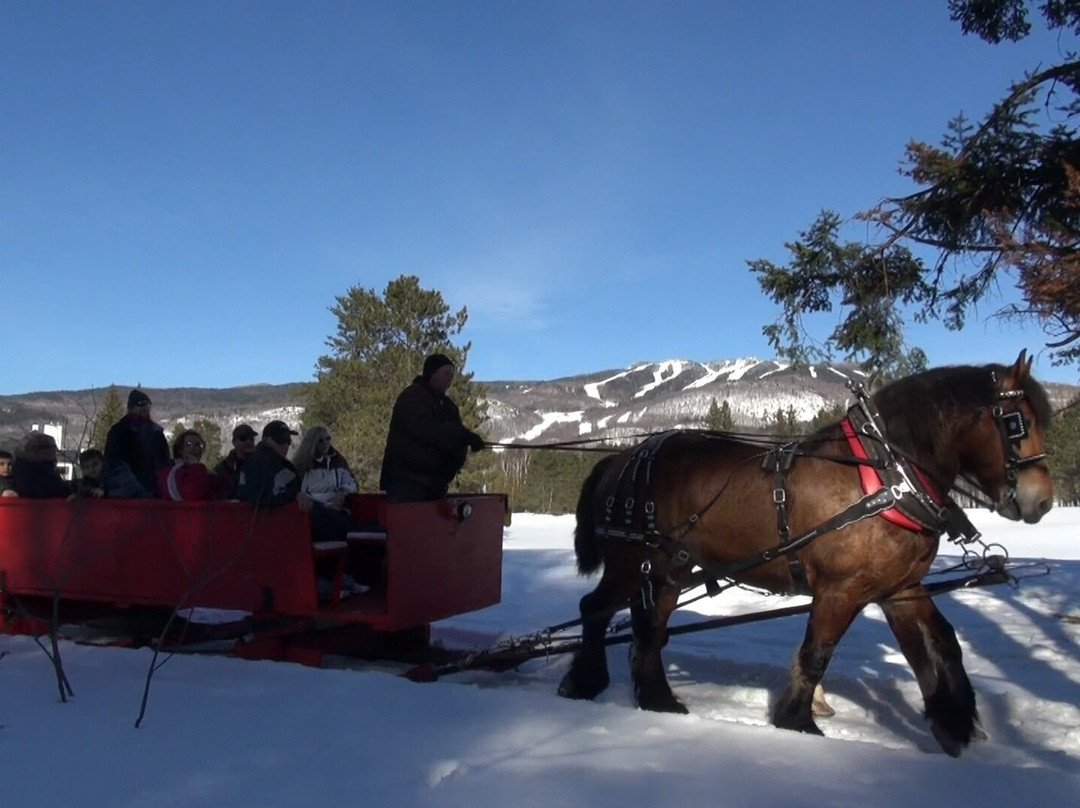 Le Centre d'Activités Mont Tremblant-塔伯拉山必去景点