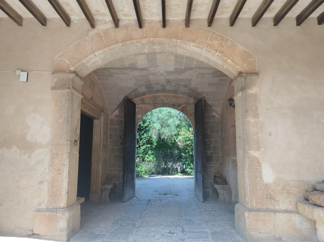 Finca Son Vivot