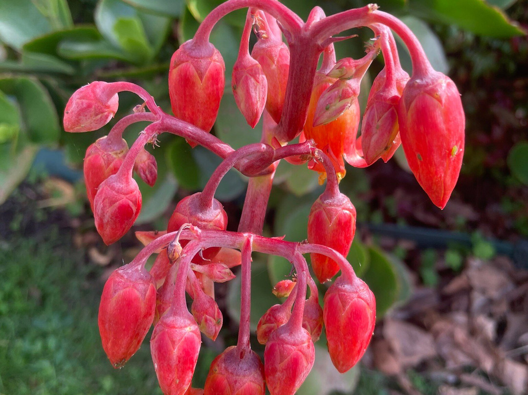 St Mary's Catholic Church-Yarram必去景点