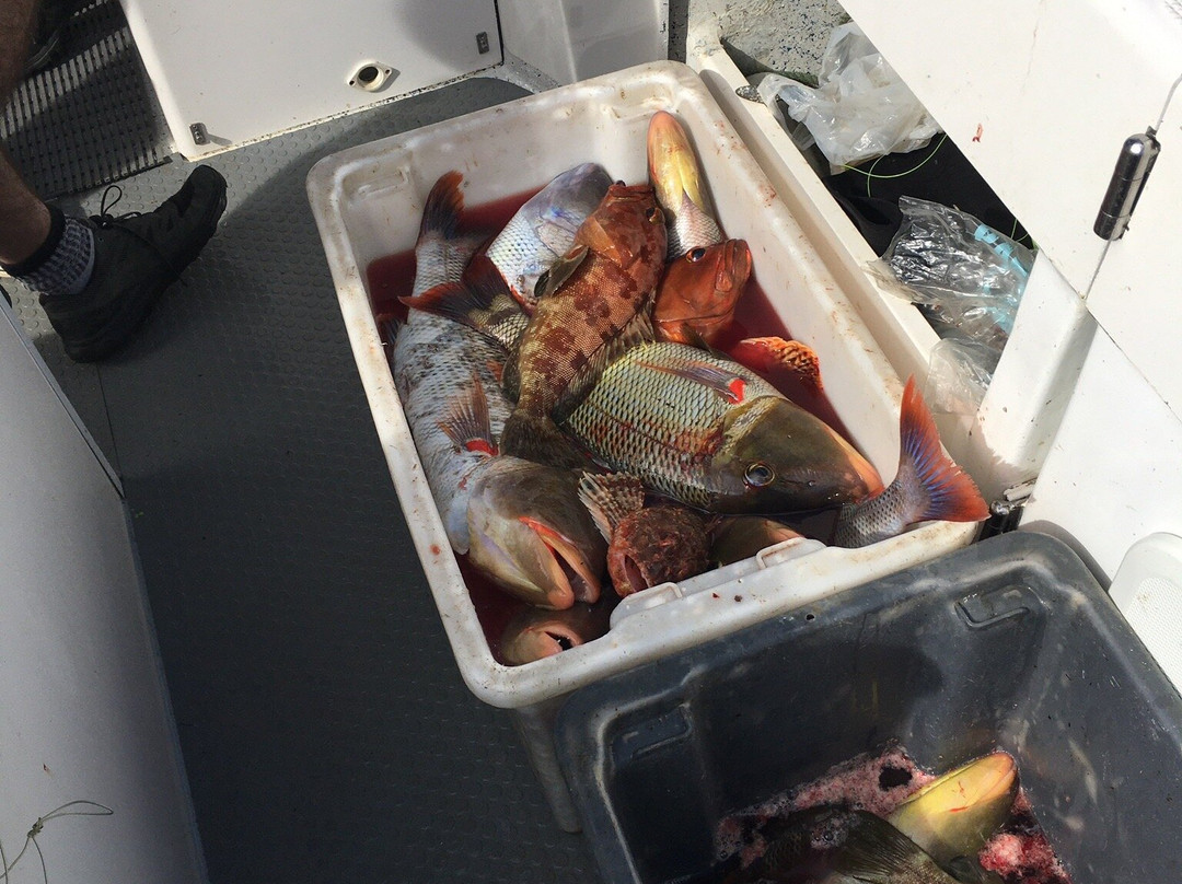 Advance Fishing-金斯敦必去景点