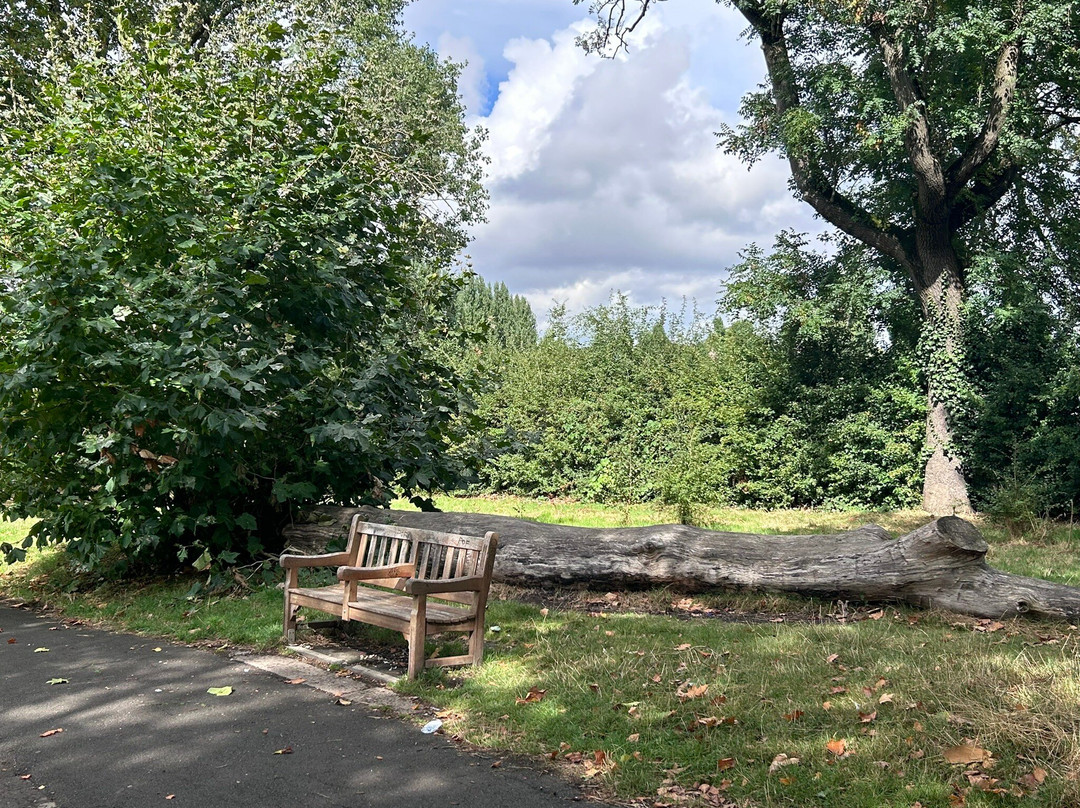 Roundwood Park景点图片