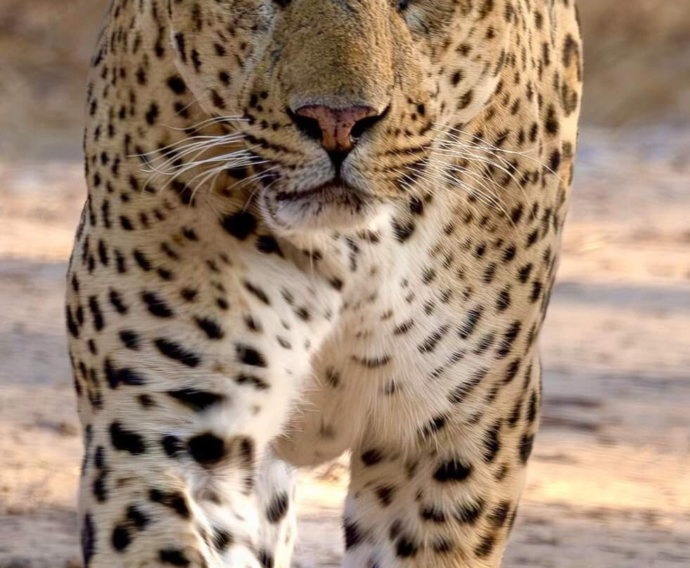 Azaan Travels-阿格拉必去景点