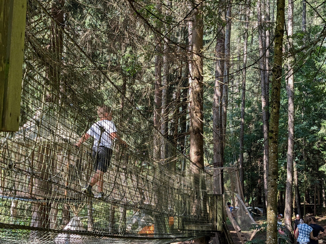 Familienhotel Huber主图