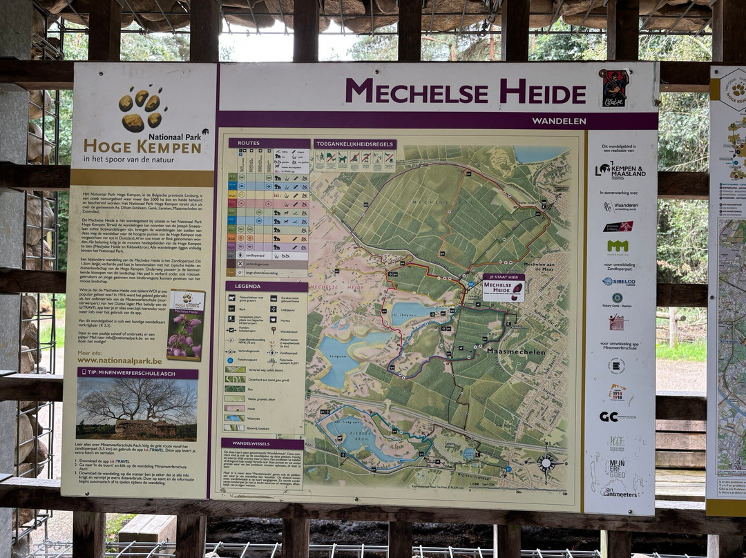Mechelse Heide-马斯梅赫伦必去景点