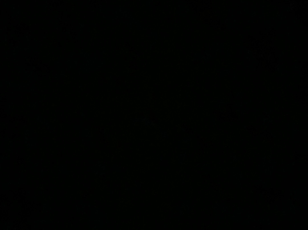 Dewey Beach Parasail-Dewey Beach必去景点