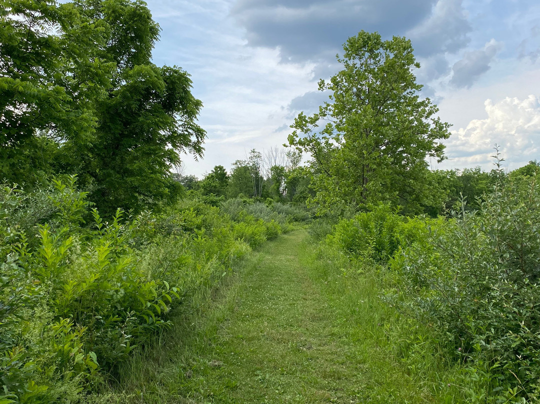 Possum Creek MetroPark景点图片