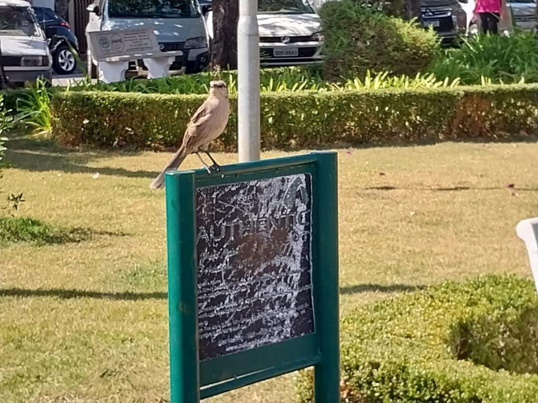 Prefeito Mario Zucato square-Monte Siao必去景点