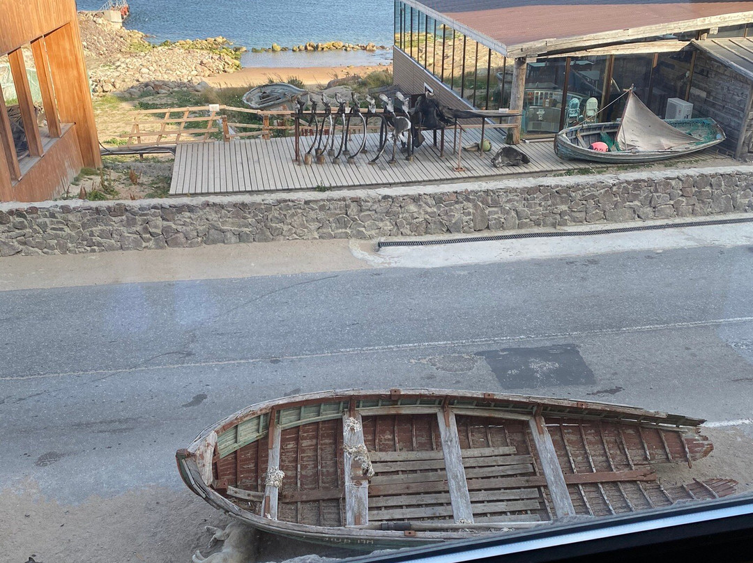 Cedar Grass Teriberka主图