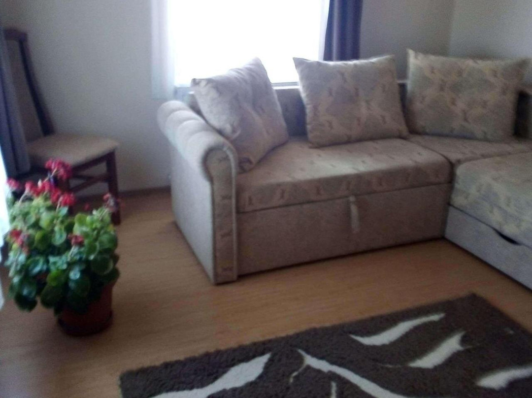 Transilvania Garden House主图