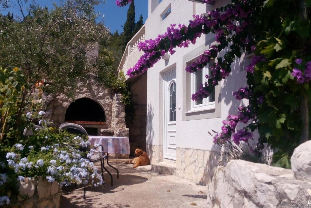 Apartments Rosa
