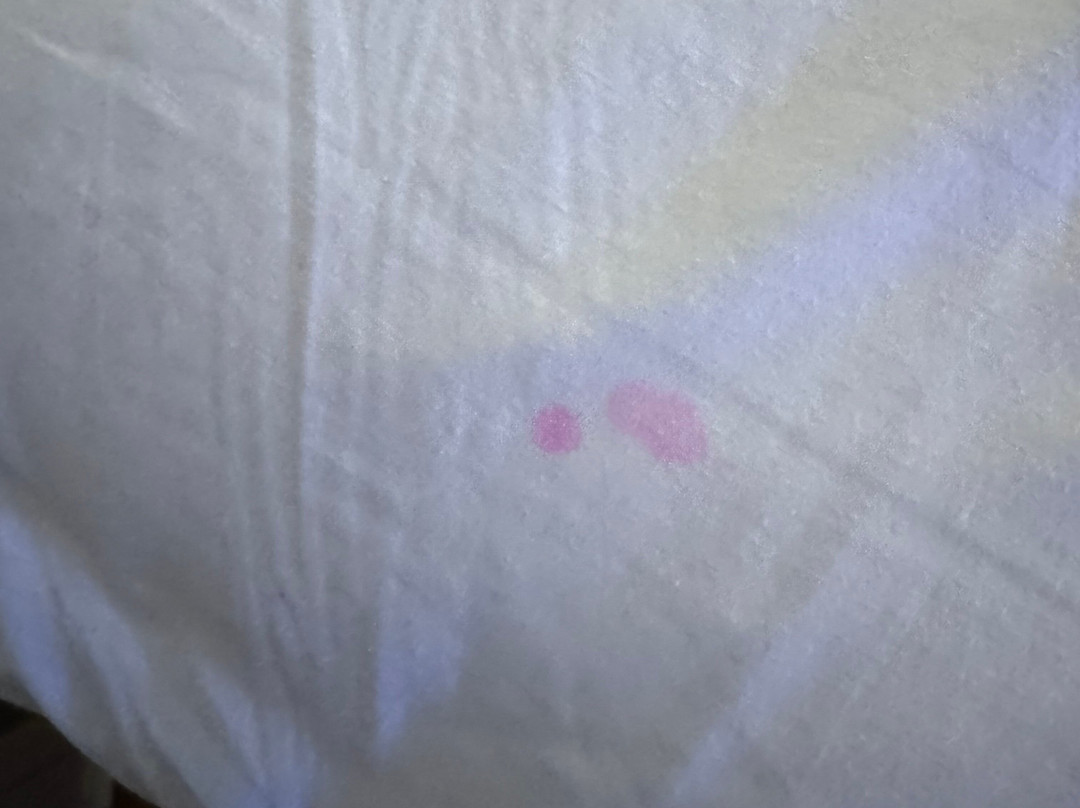 Hotel DeFuniak主图