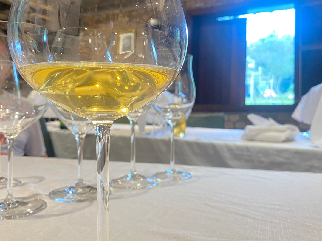Vinhos Bettú景点图片