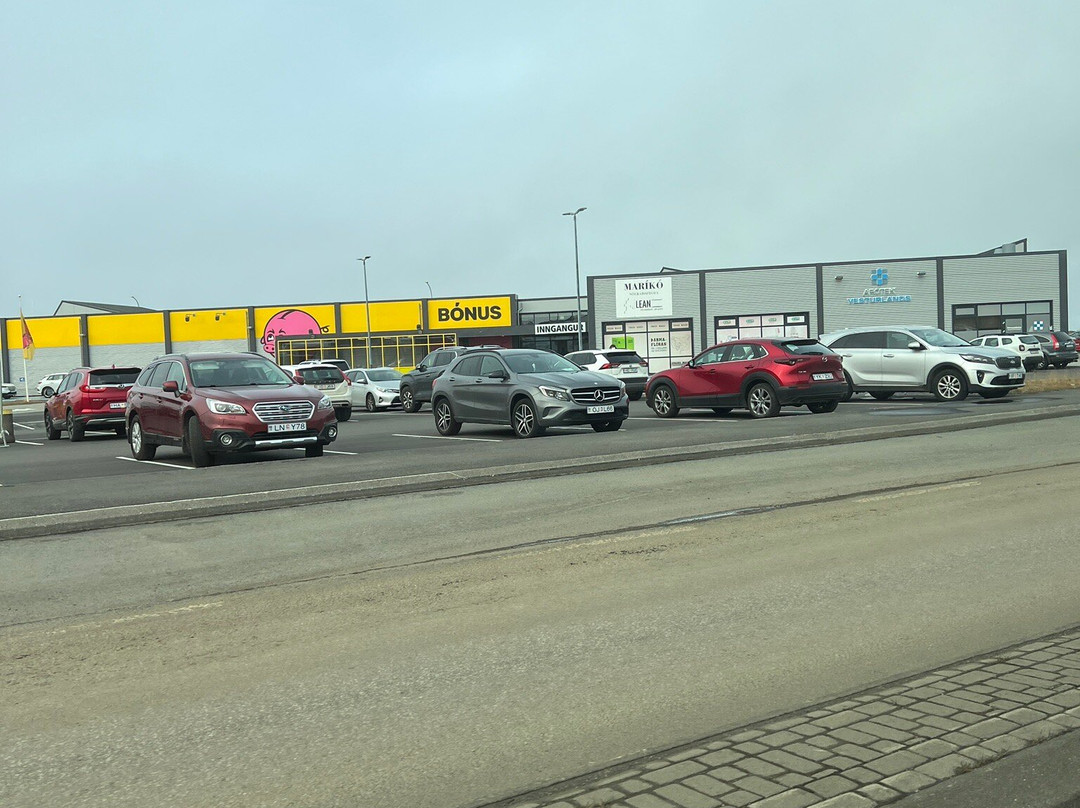 Bonus-雷克雅未克必去景点