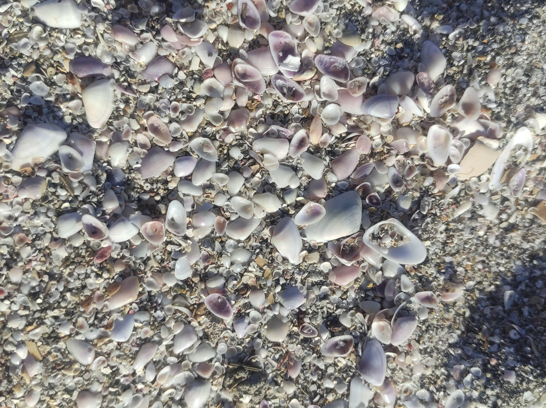 Best Western Plus Riviera Veracruz主图