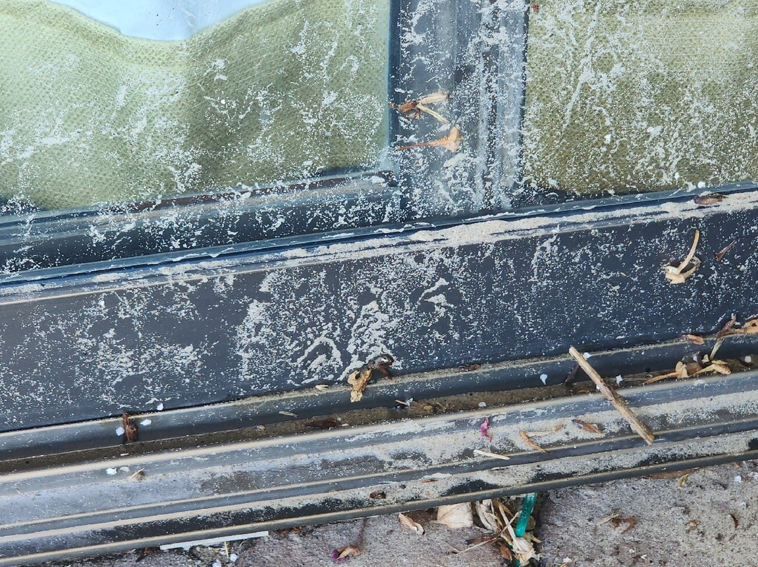 澳大利亚斯旺西汽车旅馆主图