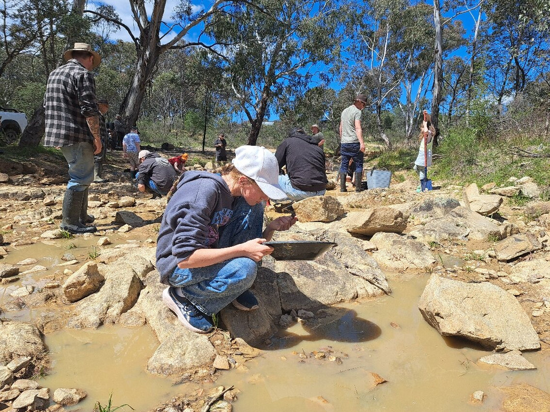 Jhob's Gold Panning Tour - Hill End