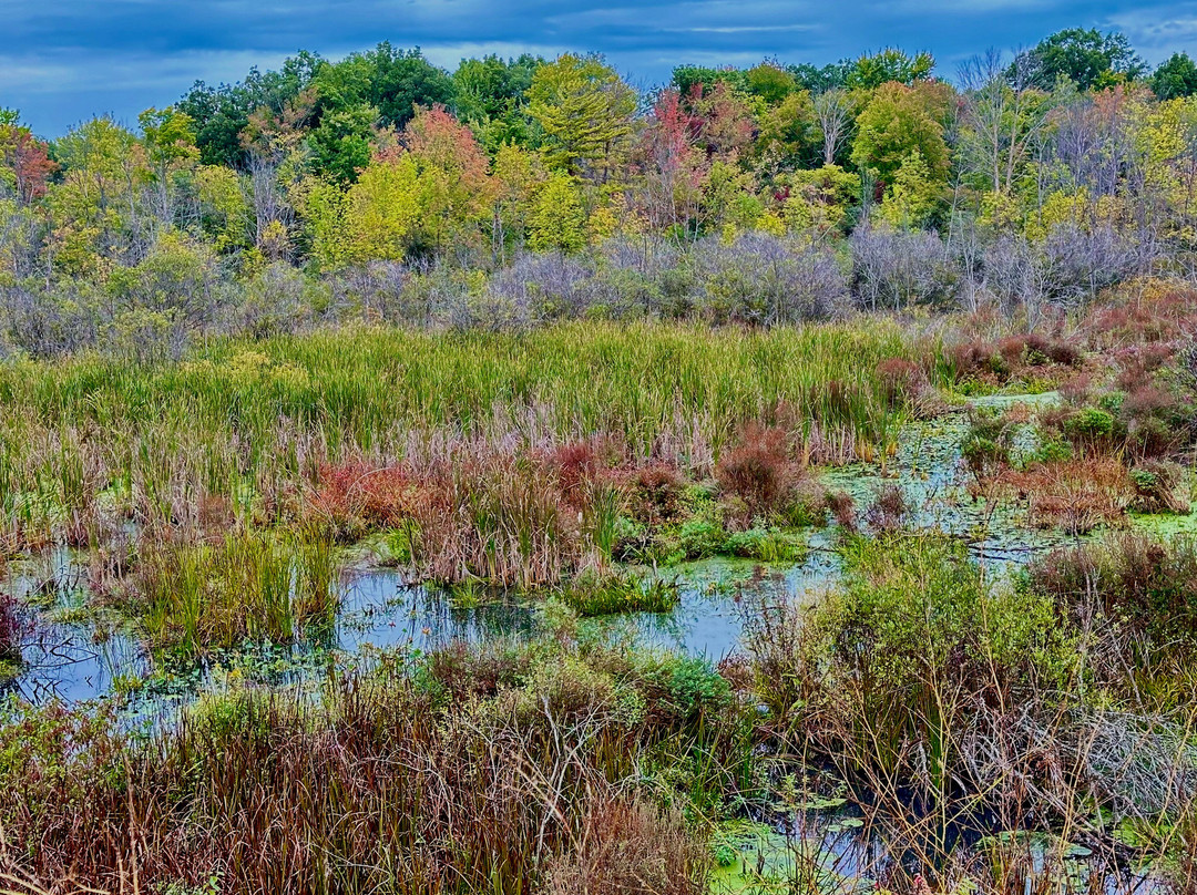 North Bank Trail-Spring Lake必去景点