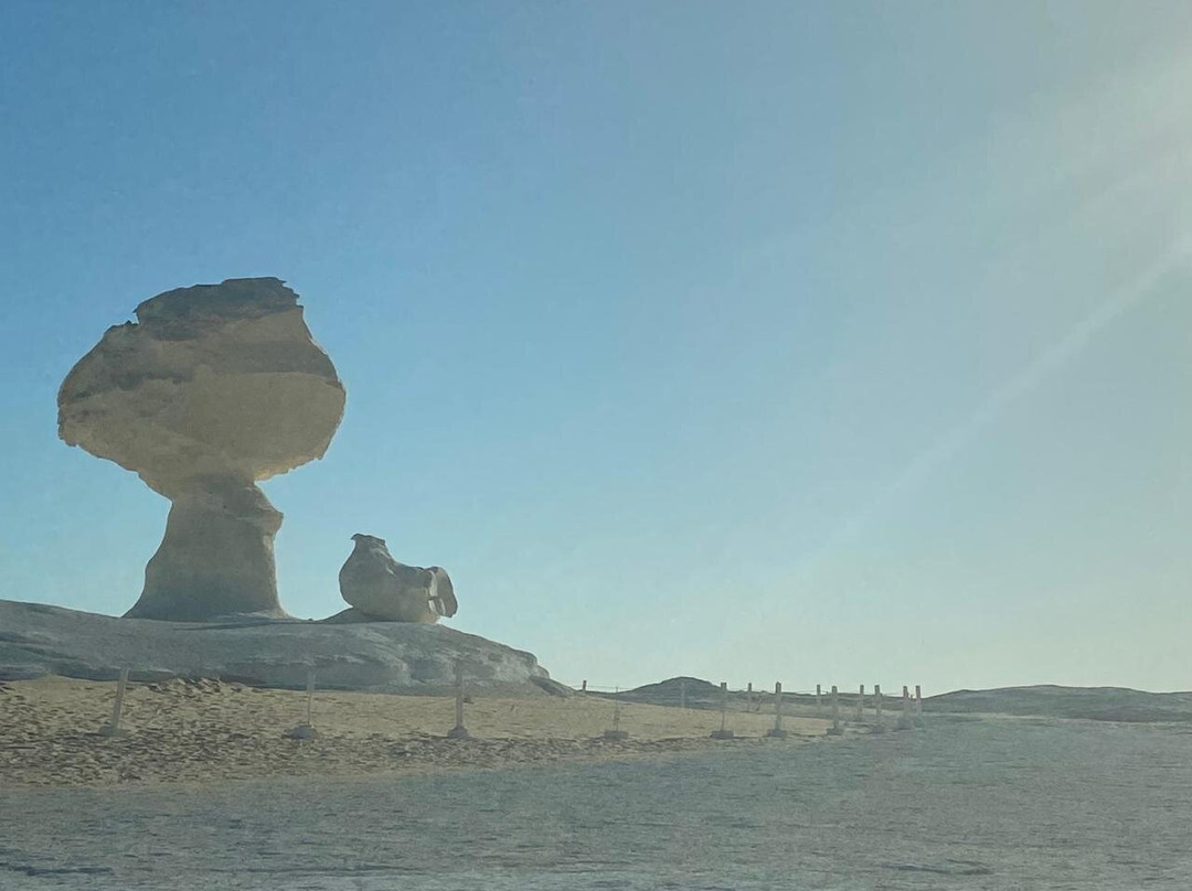 Desert Base-Bahariya Oasis必去景点