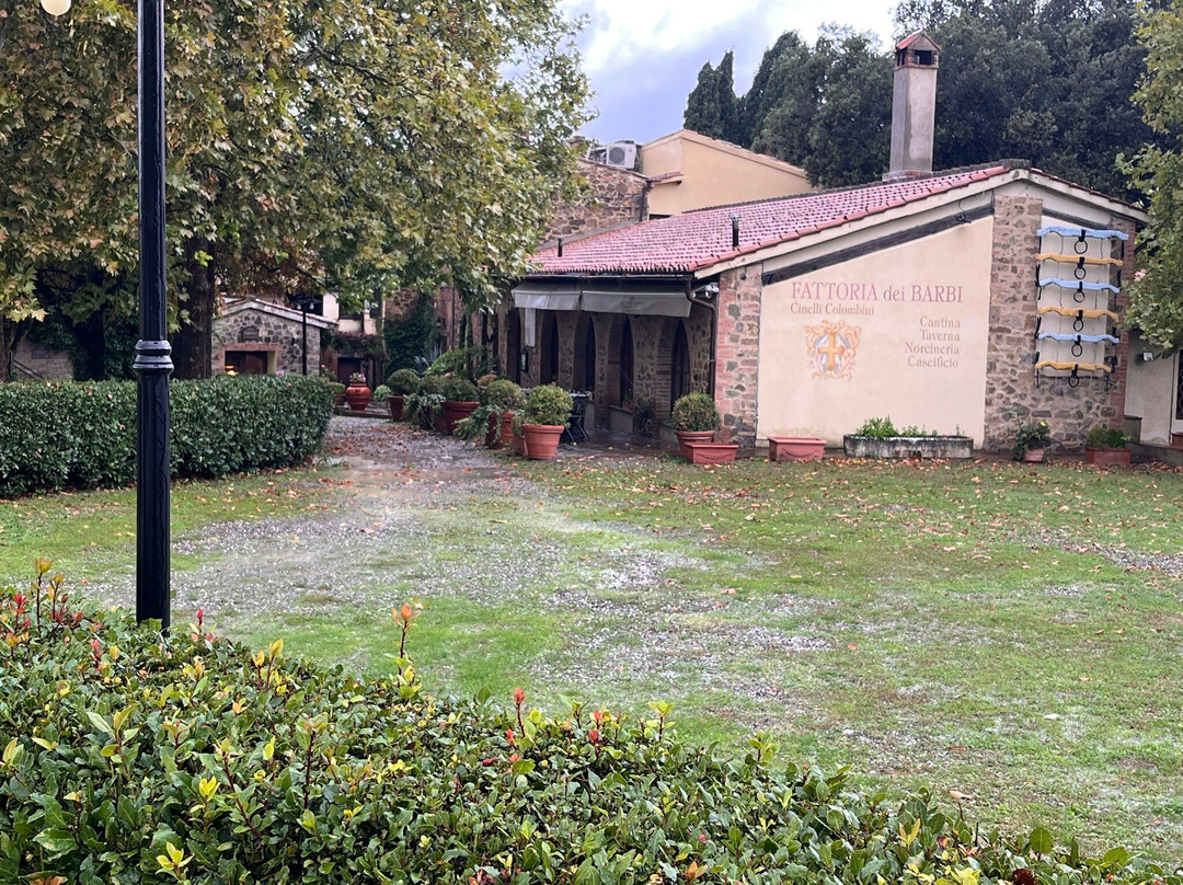 Fattoria dei Barbi-蒙塔尔奇诺必去景点