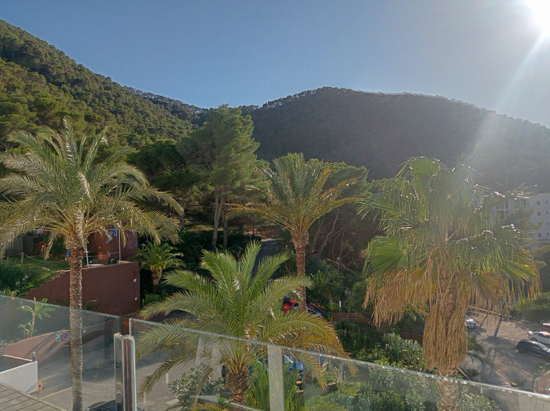 Palladium Hotel Cala Llonga主图