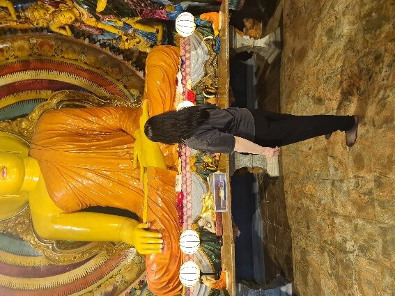 Luk Sri Lanka Travels-Pallekele必去景点