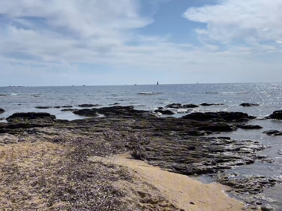 Pointe des Sardinaux景点图片