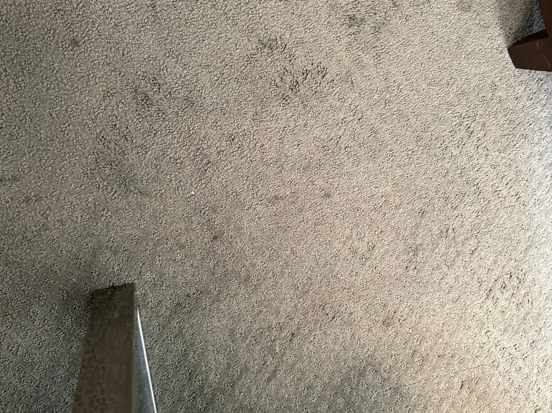 匹兹堡南皇冠假日酒店主图