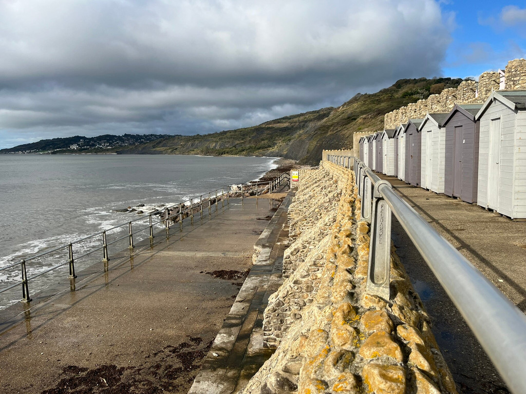 Jurassic Coast Guides景点图片