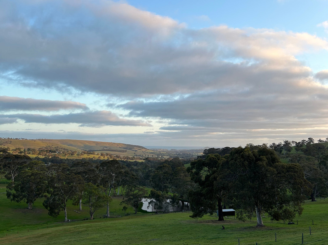 Seascape Retreat主图