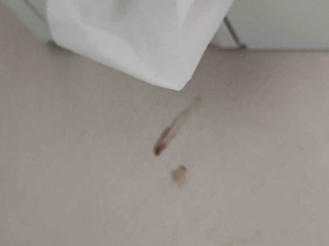 地平线117之家酒店主图