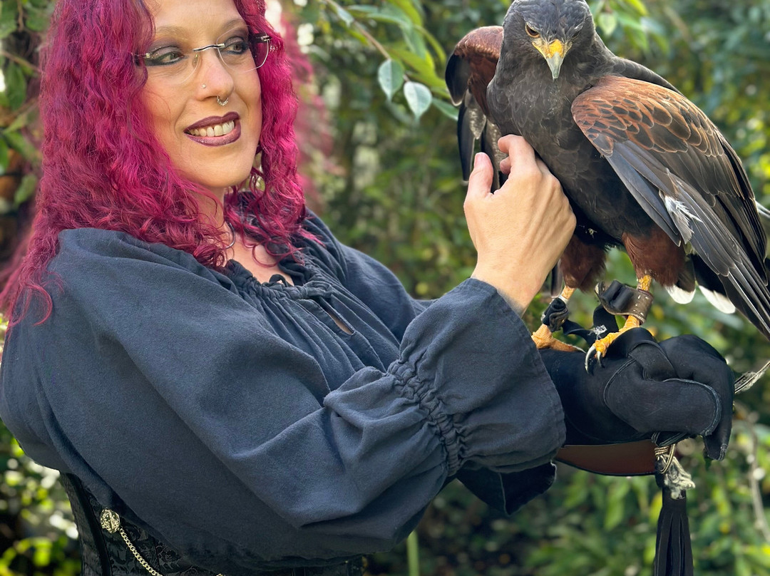 skyhunters in nature -frechen-Frechen必去景点