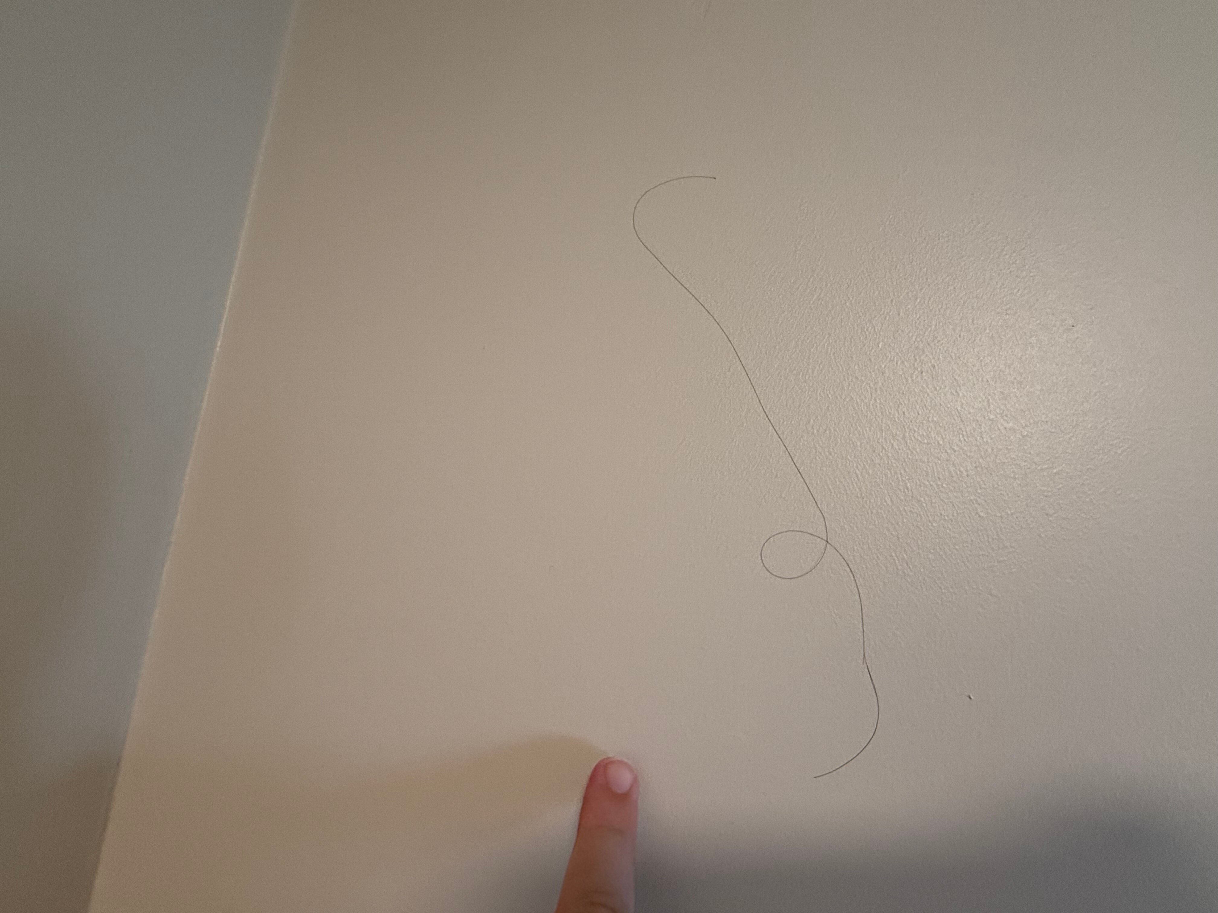 Holiday Inn Express Harrisburg NE by IHG-浴室