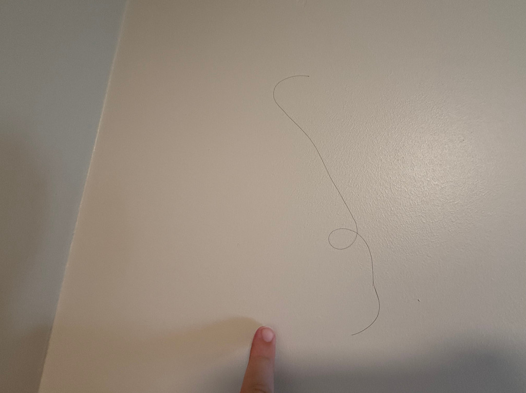 Holiday Inn Express Harrisburg NE by IHG主图