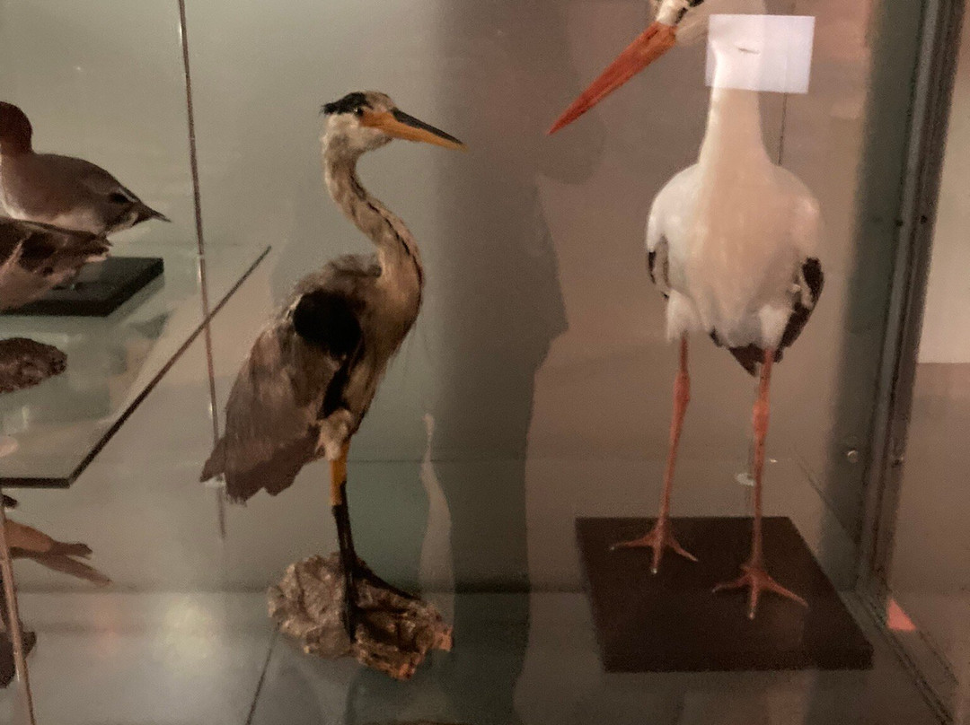 De Museumfabriek-恩斯赫德必去景点