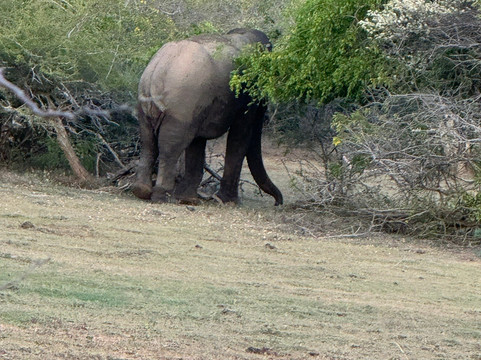 YALA TAXI SERVICE-蒂瑟默哈拉默必去景点