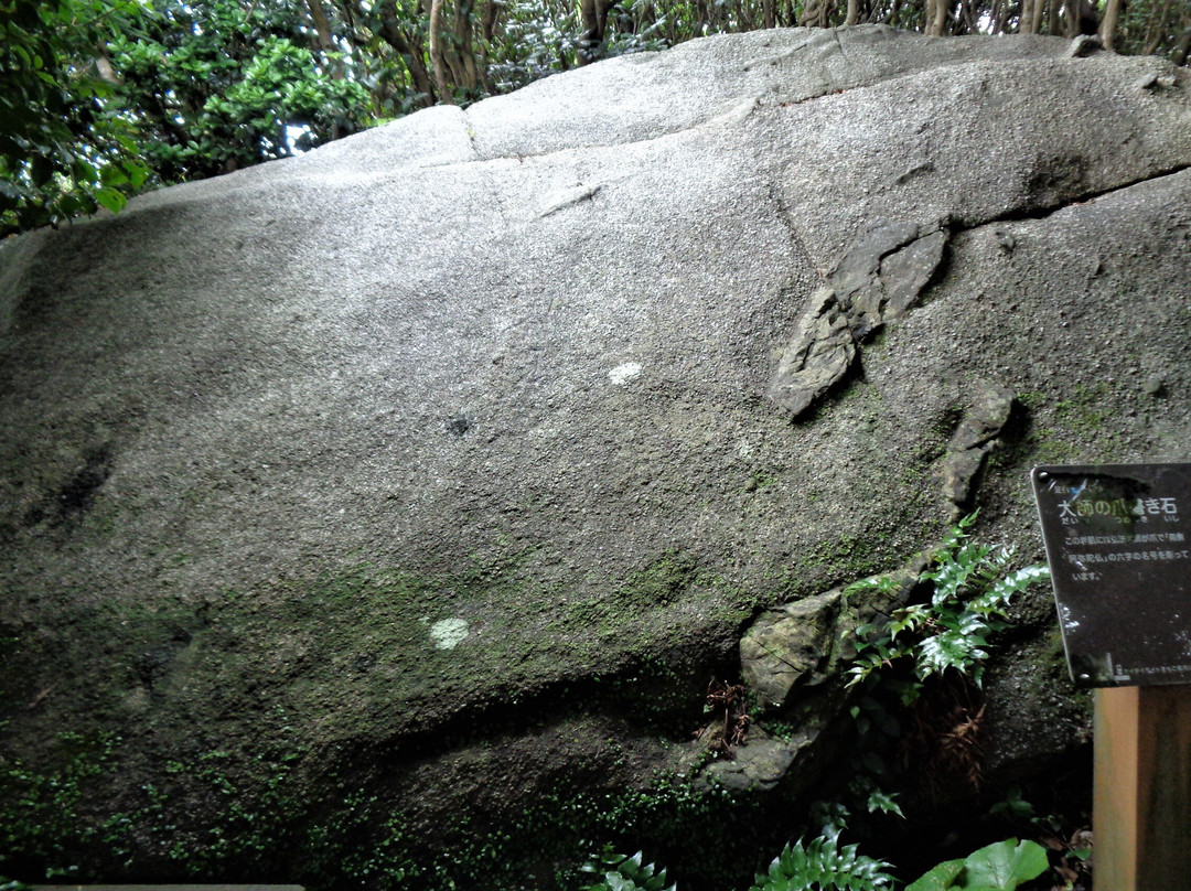 Ashizuri Nature Trail Ashizuri Nanafushigi景点图片