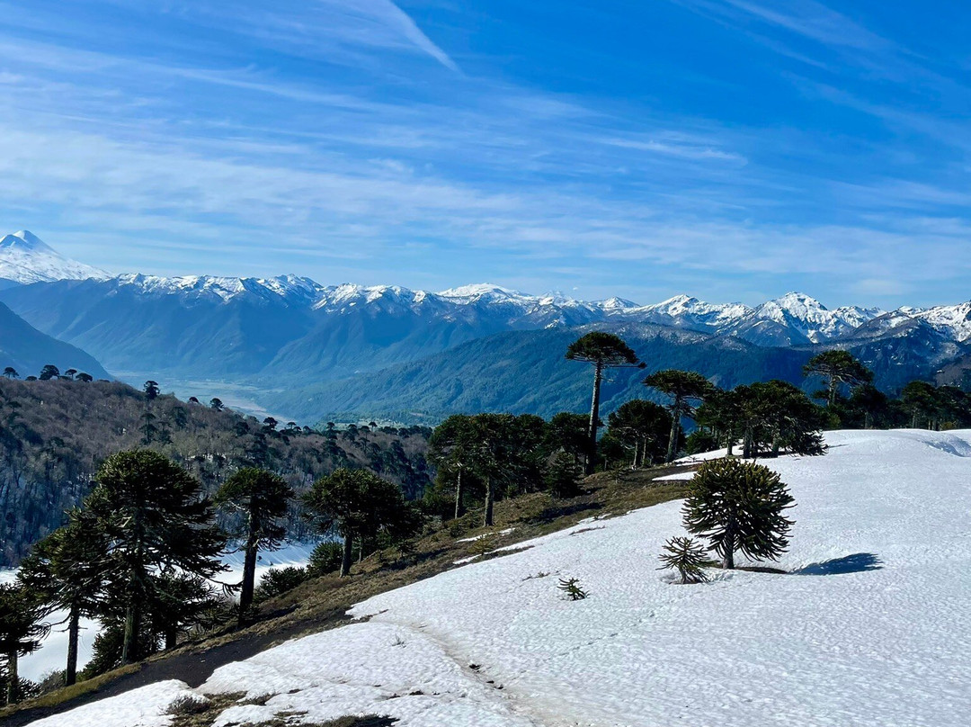 Ñuke Mawida-Melipeuco必去景点