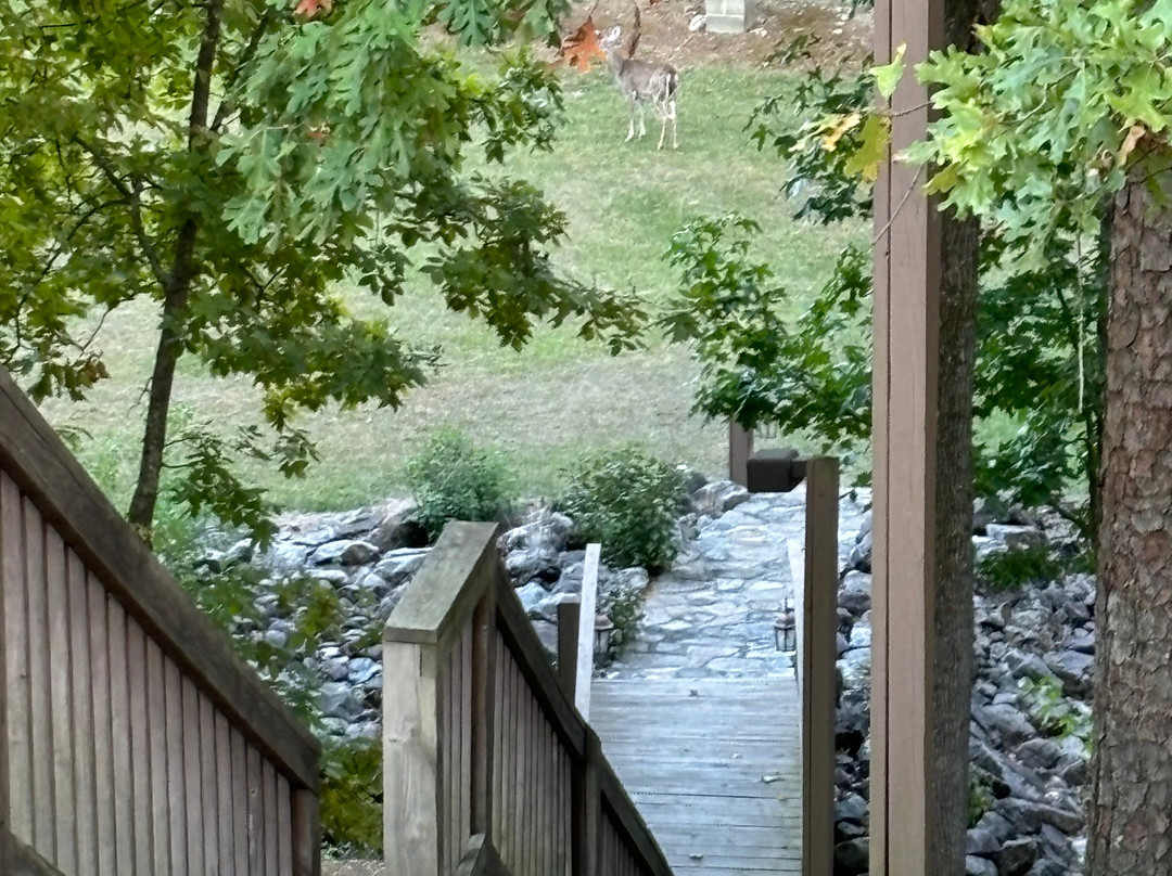 Mountain Harbor Resort & Spa主图