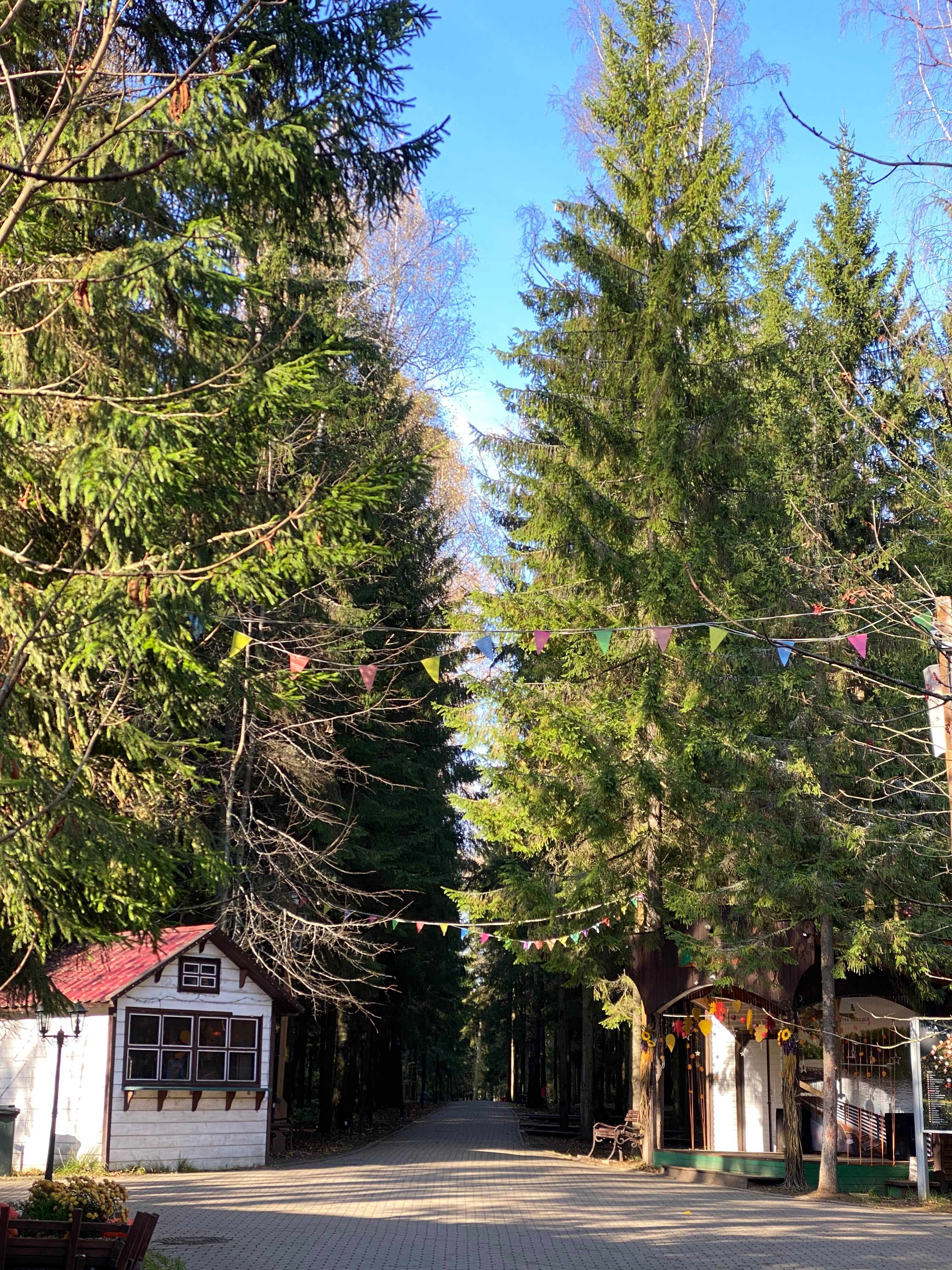 Istra Holiday-官方