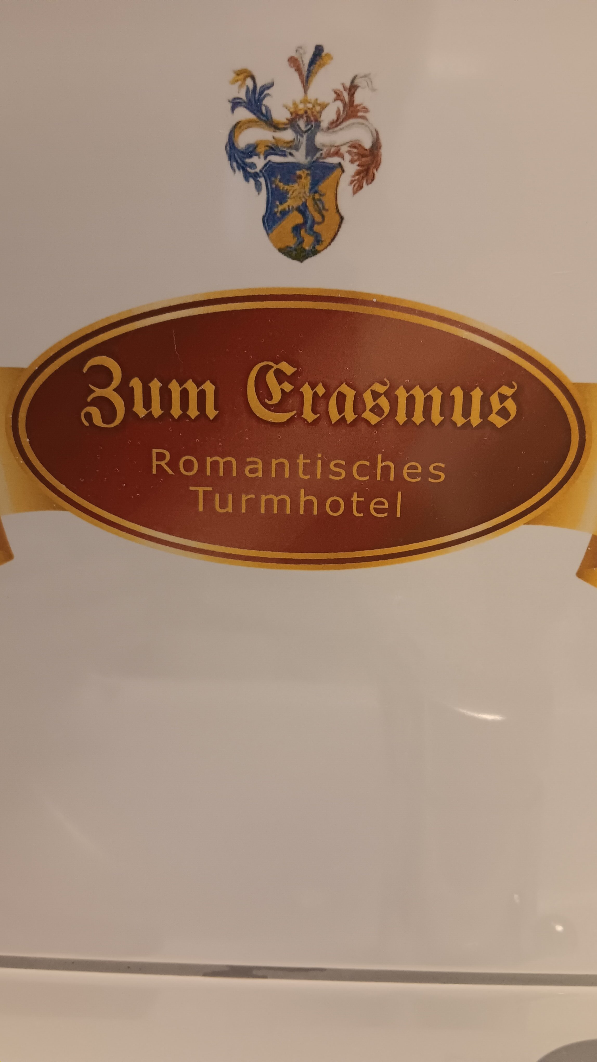 Turmhotel Erasmus-浴室