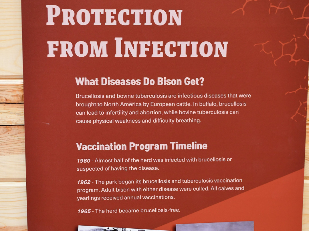 Custer State Park Wildlife Station Visitor Center-Hermosa必去景点