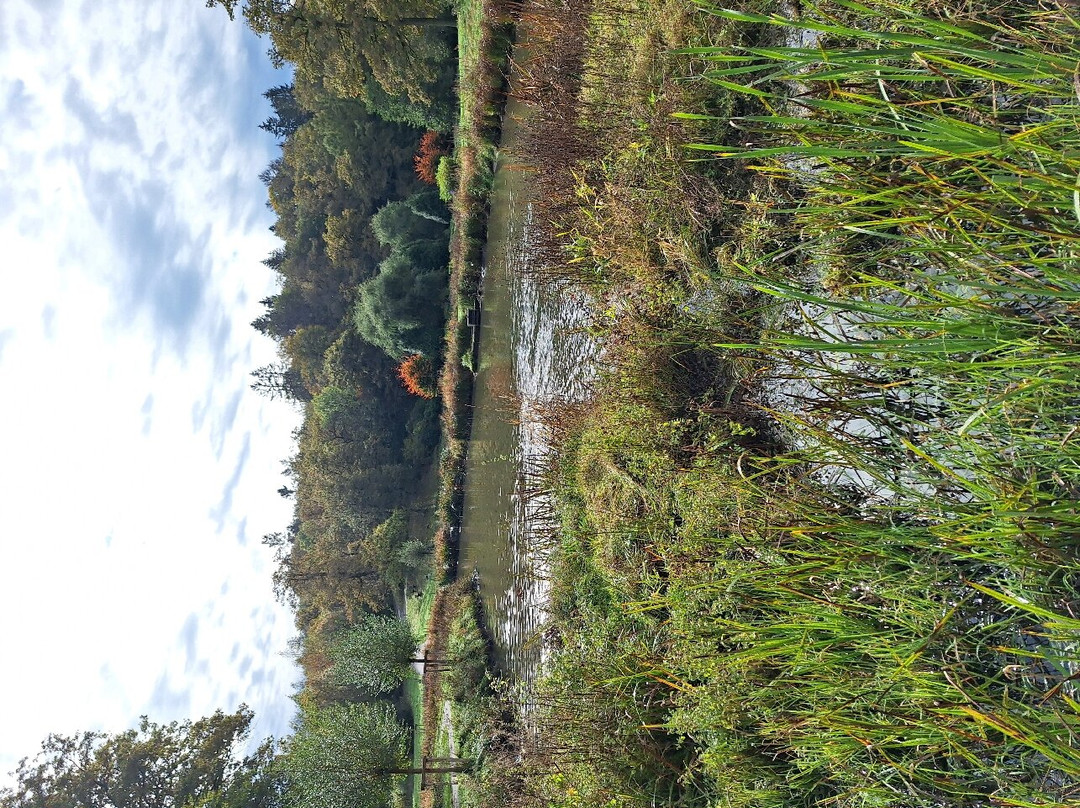 Domaine Provincial de Chevetogne景点图片