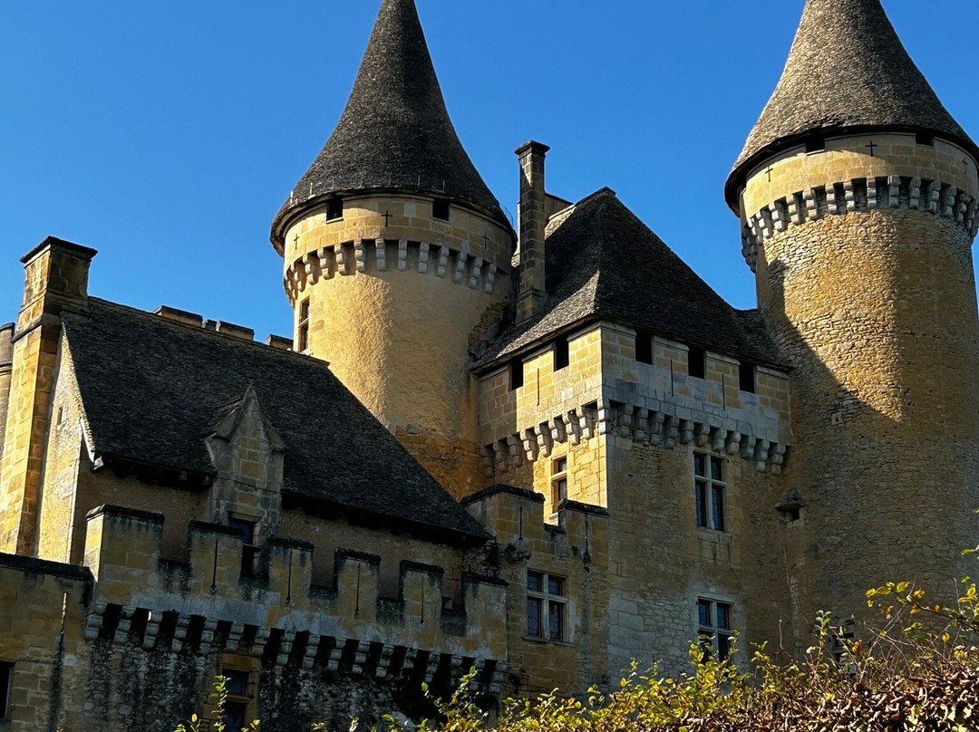 Chateau de Puymartin景点图片
