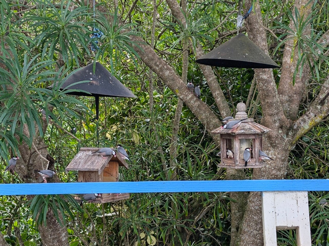 哈尔霍欧拉家庭式酒店主图