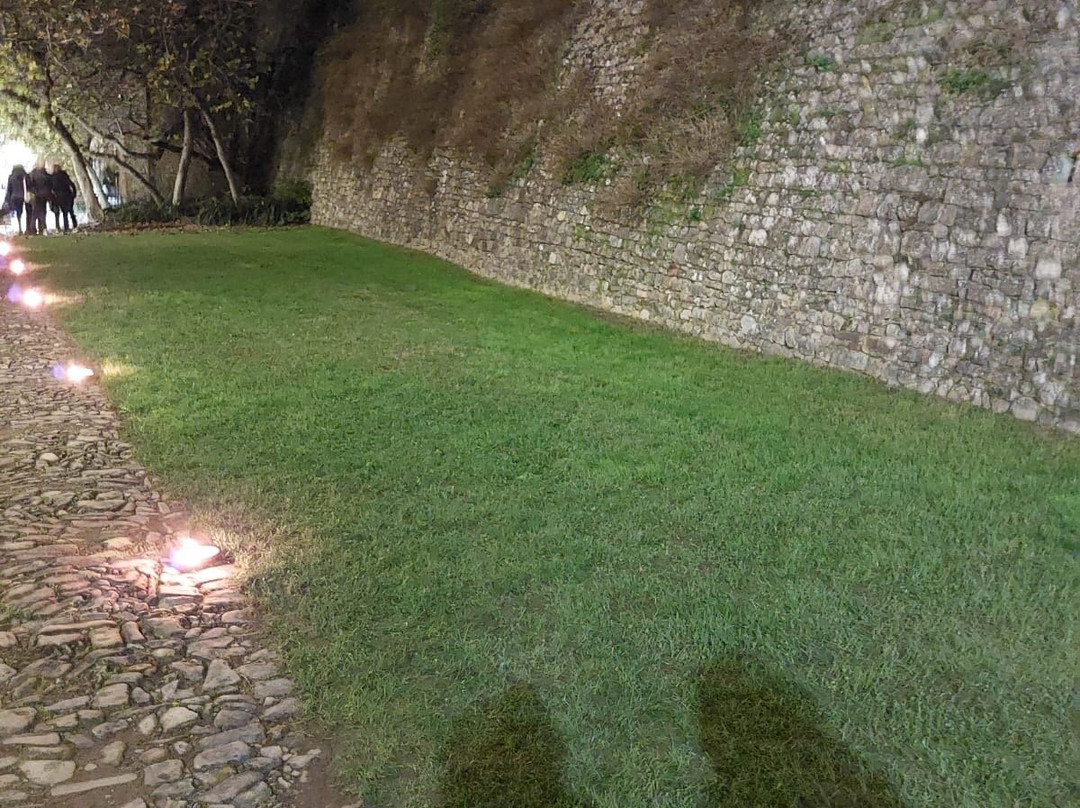 Castello di Scipione dei Marchesi Pallavicino景点图片