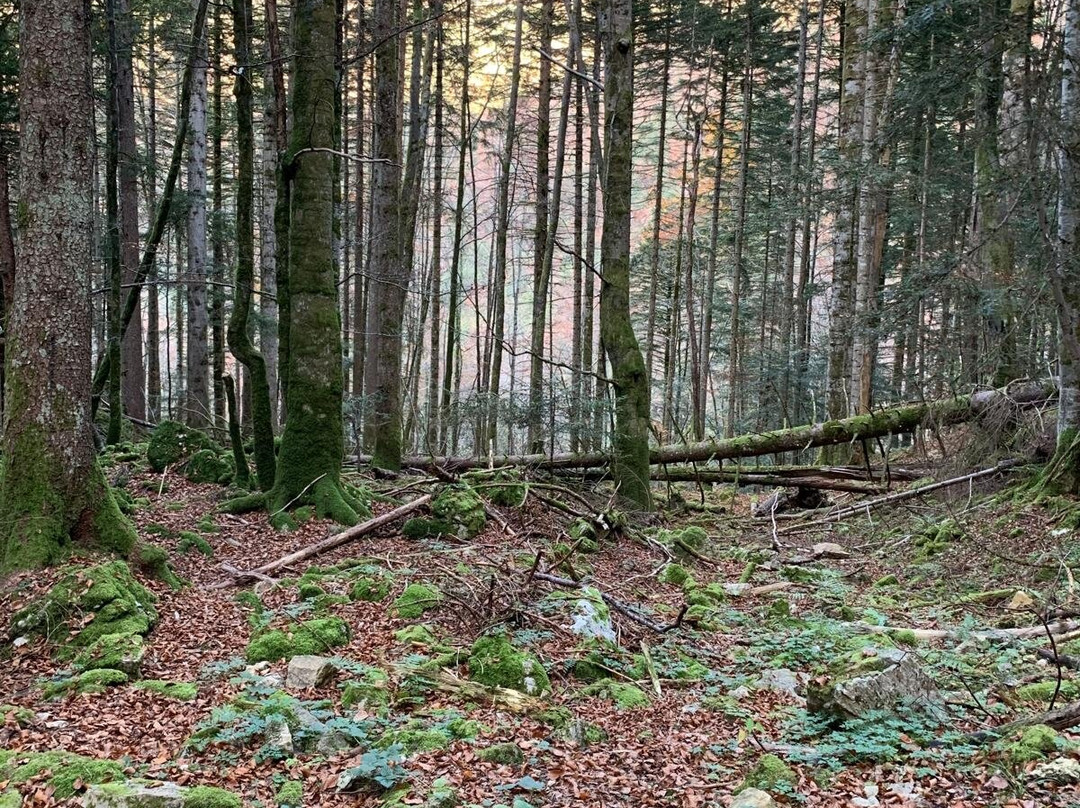 Site Naturel du Cirque de Saint-Même景点图片
